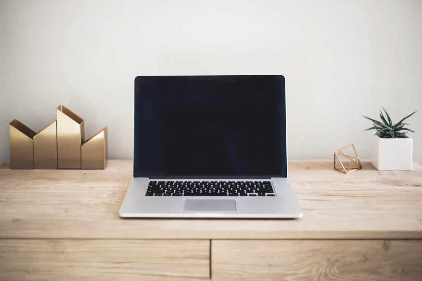 Laptop on a spare wooden desk beside a small plant