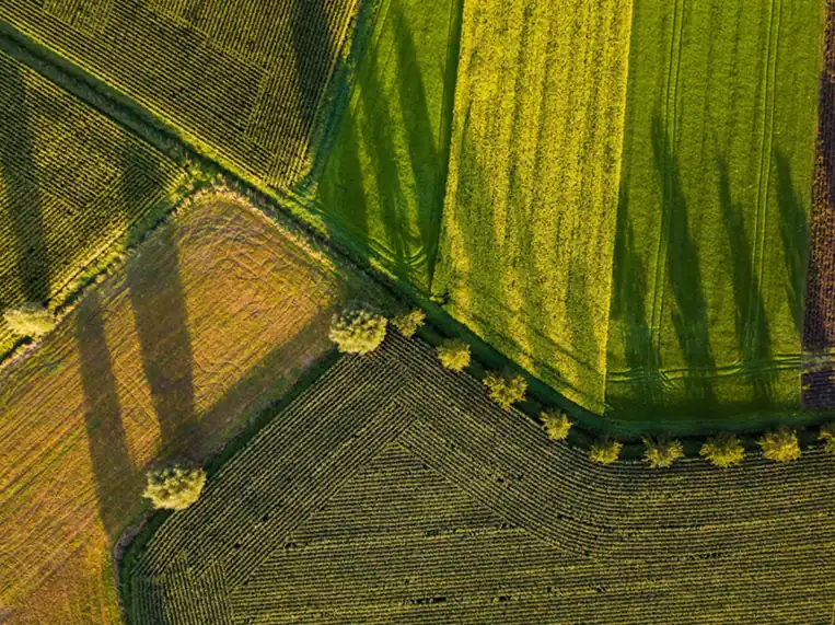 Aerial pattern of green agricultural fields