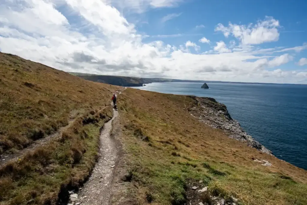 Walking path above a coastline and open water