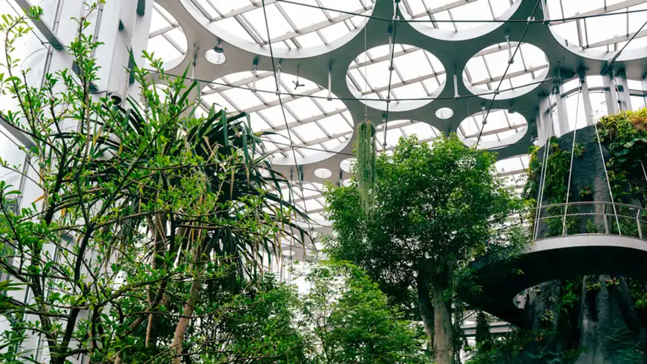 Planting beneath the curved structure of a glasshouse