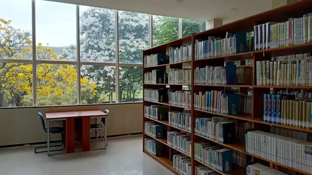 Bookshelves and worktables beside a sunny window