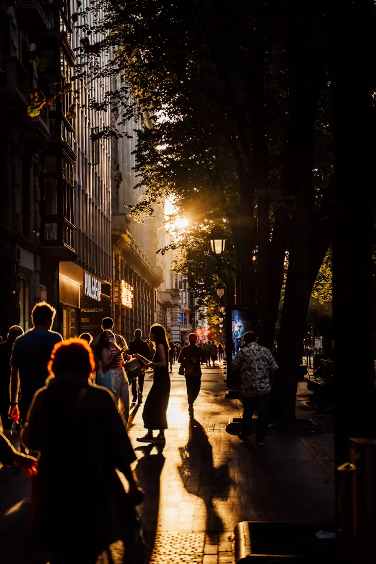 Tree-lined city street in warm morning light
