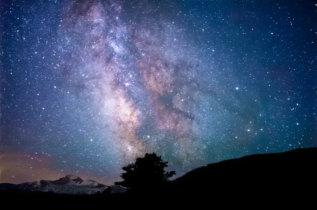 Milky Way above trees and a dark horizon