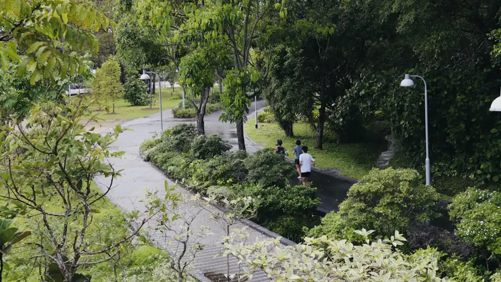 People using paths through a leafy park