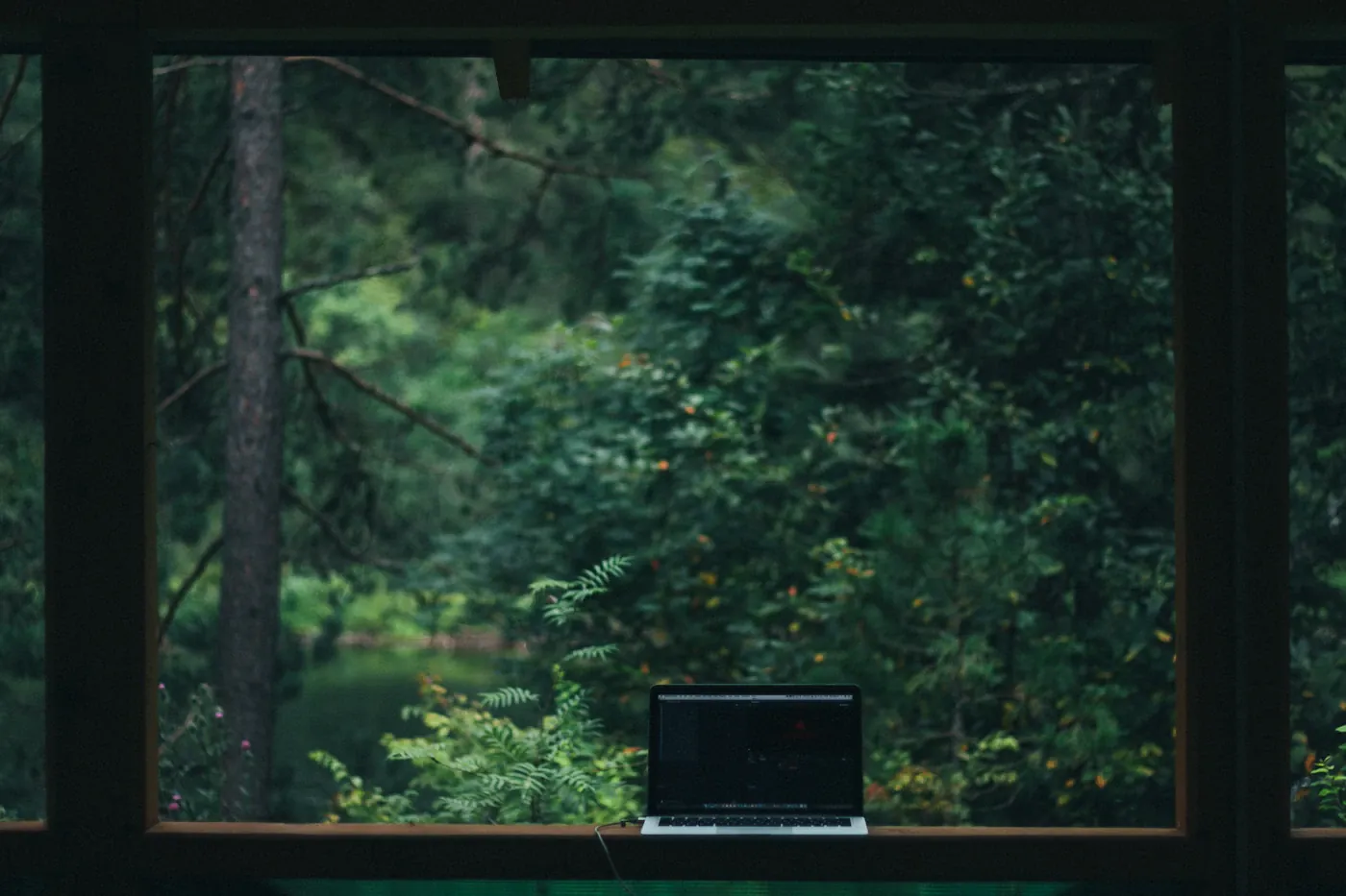 Laptop in front of a window overlooking trees