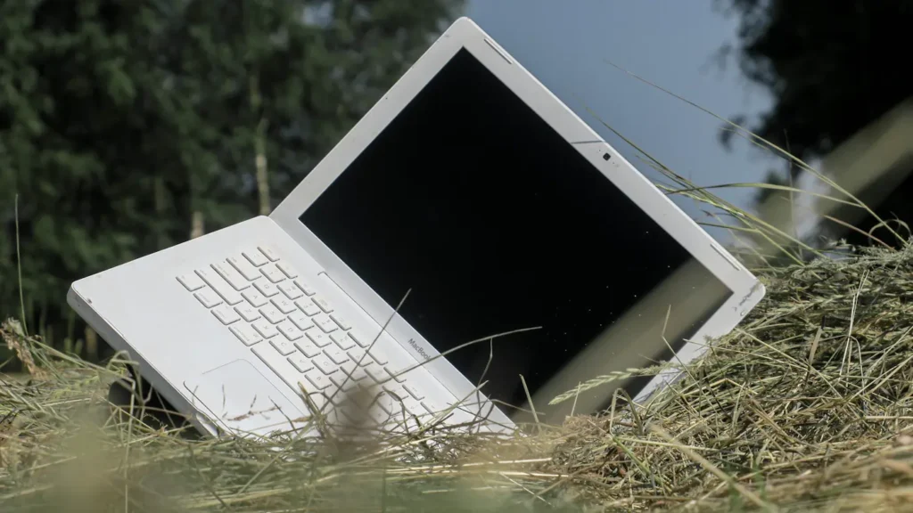 Open laptop placed in long grass
