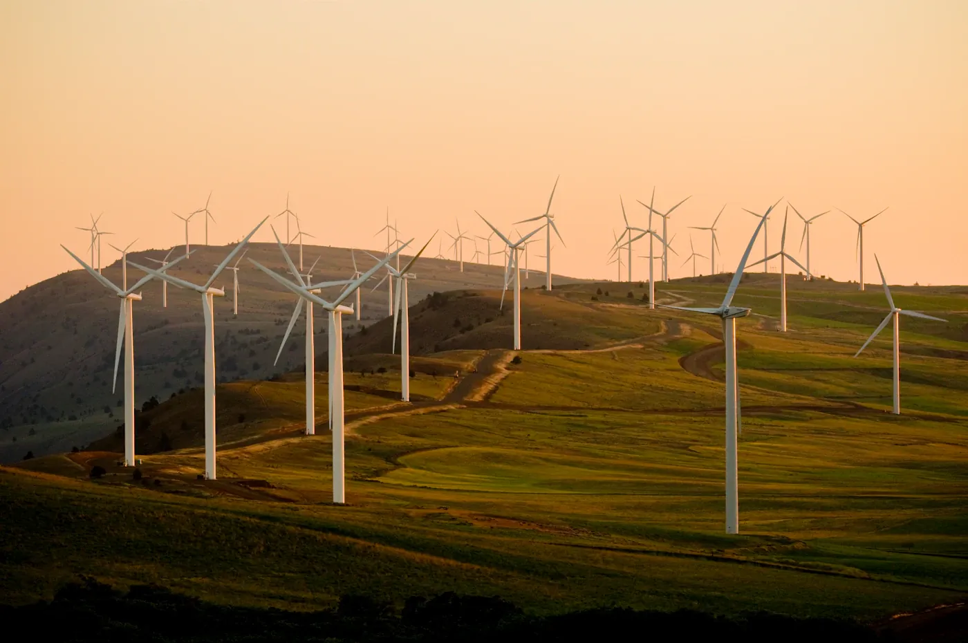 Wind turbines across a landscape in evening light